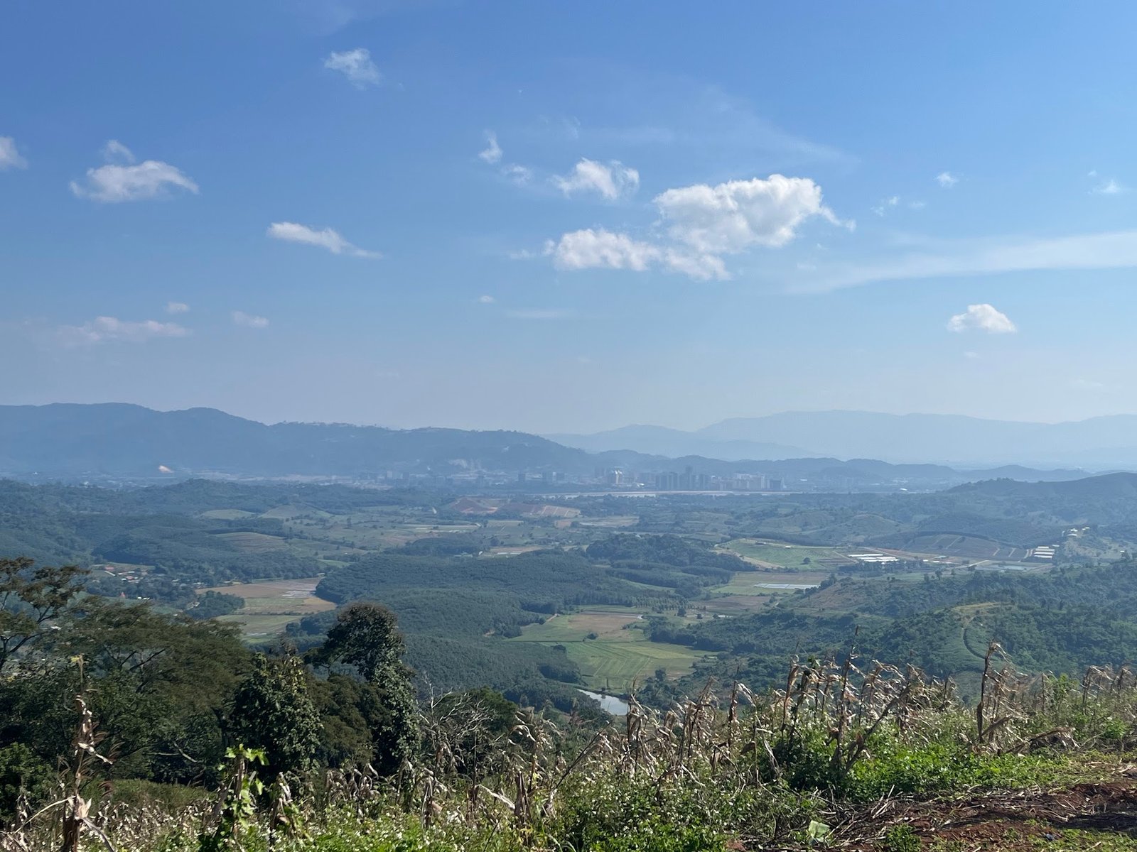 view across the river into Laos from Doi Sa Ngo lookout