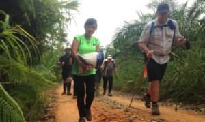 A group of Australian veterans and RSL staff trekking through the dense Sabah jungle near Ranau.