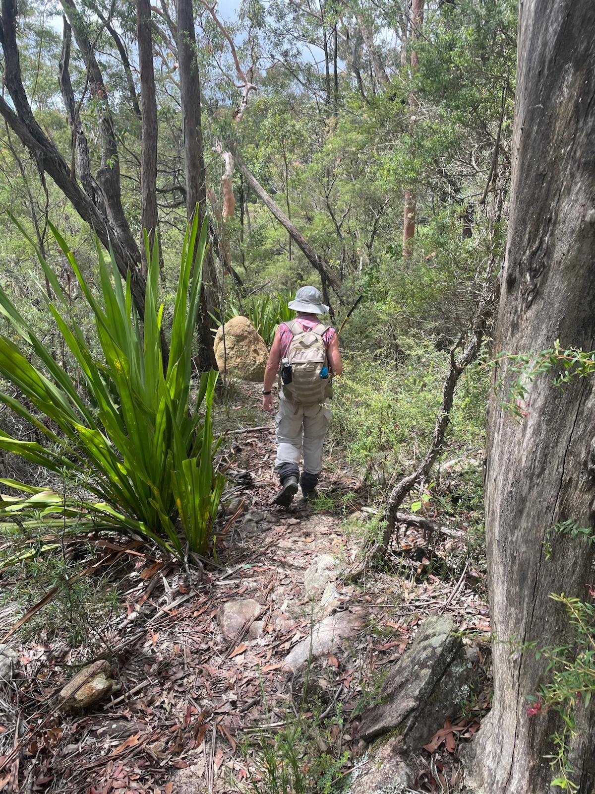 Hidden Valley farm on a misty morning.