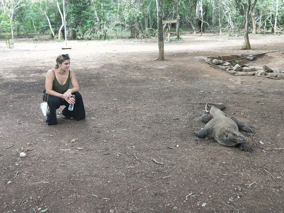 Close look at a Komodo dragon. Komodo National Park, Indonesia.