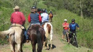 Horse riders and cyclists share the trail on the Brisbane Valley Rail Trail.