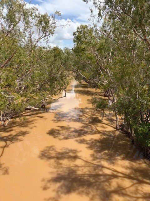 Afternoon on the Fitzroy River, Western Australia, after some heavy rain.