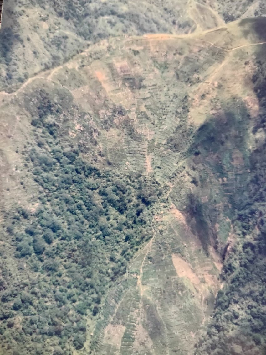 Aerial view of a terraced valley, Irian Jaya. It seemed that no slope, regardless of how steep, could not be terraced and planted with food crops.
