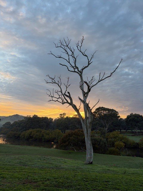 Sunrise over the Murray River at the Man from Snowy River Festival in Corryong, Victoria, Australia.