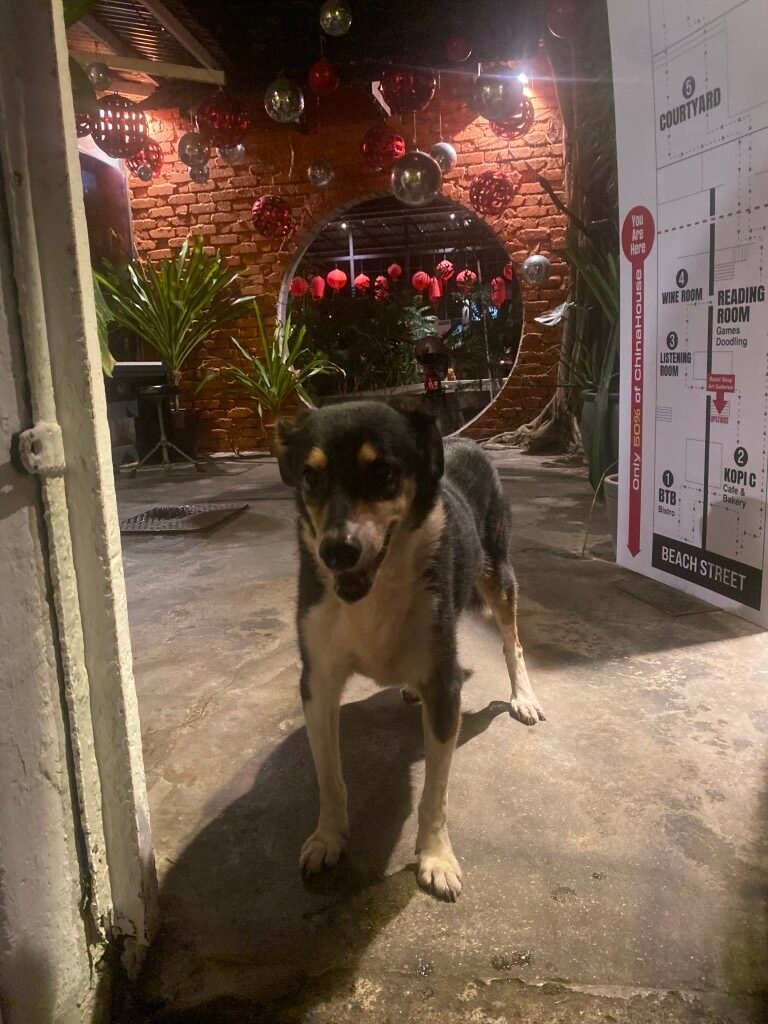 ChinaHouse, Georgetown, Penang, Malaysia, May 2026. Fantasic place to go with a diverse range...cafe, bar, reading room, gallery, music venue and more.