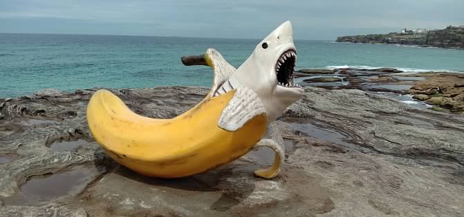 Sculpture by the Sea, Sydney, October 2025.