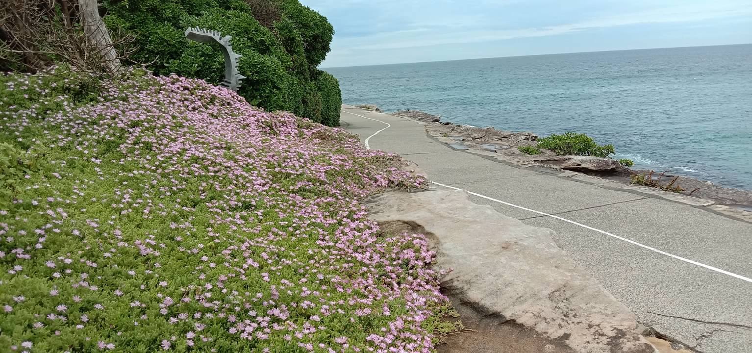 Sculpture by the Sea, Sydney, October 2025.