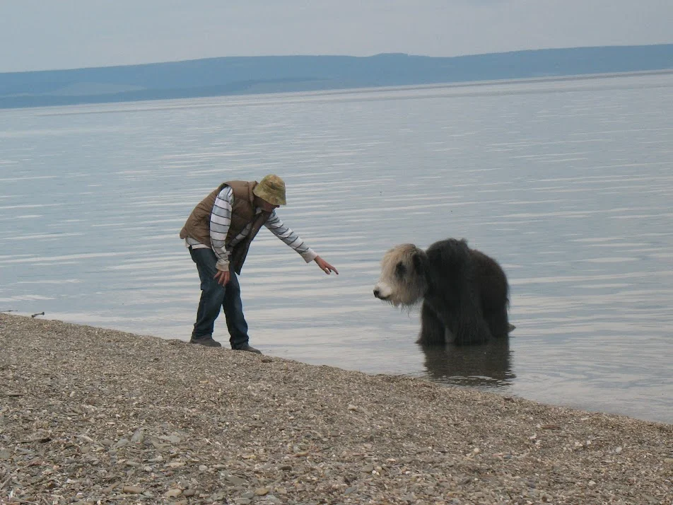 yak and boy