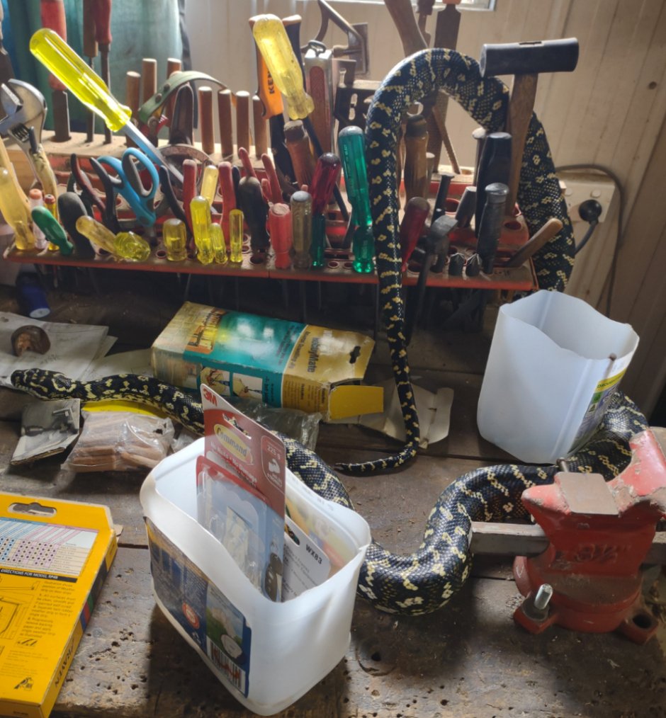 The Reality of Snakebites: Venom vs. Danger in the Australian Bush | Neale