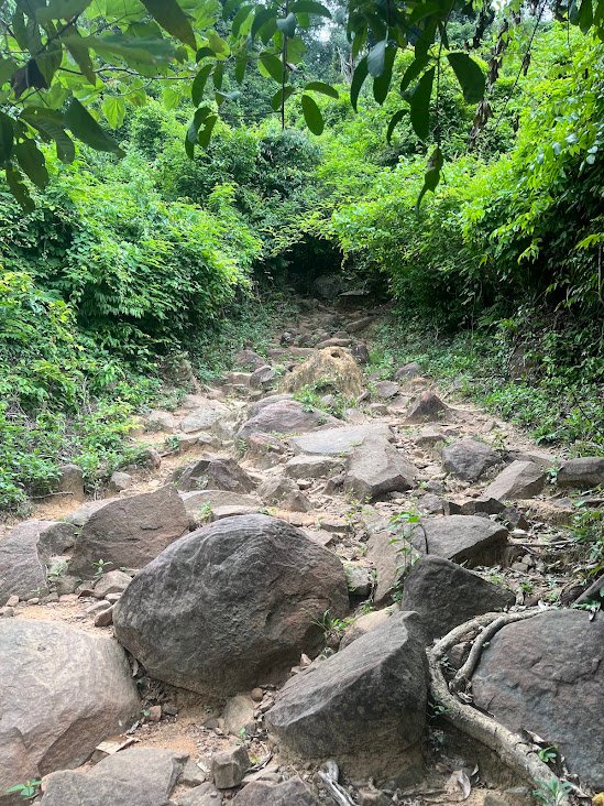 Trail to Kbal Spean waterfall, Cambodia.