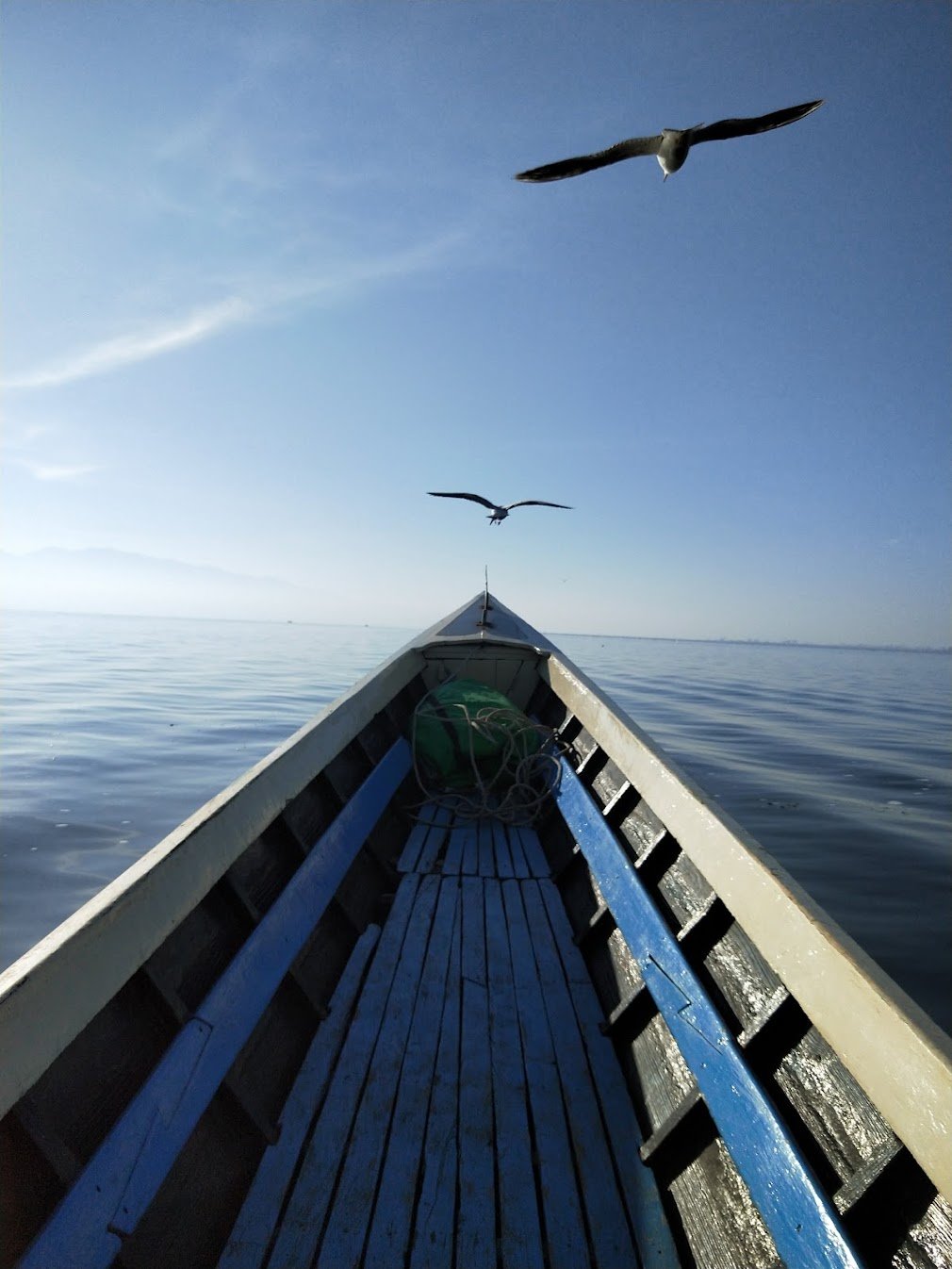 Gulls flying over the prow of our longtail boat on Inle Lake, Myanmar.