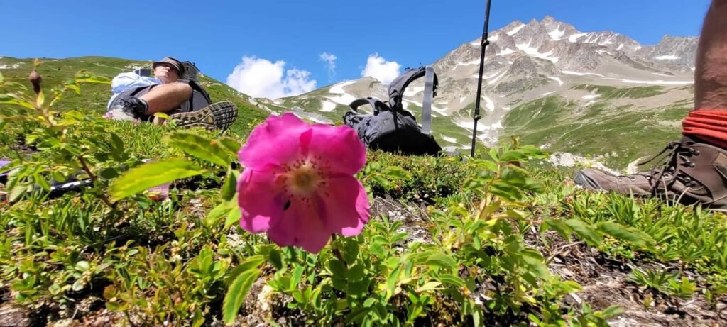 On the Tour du Mont Blanc trail in Switzerland